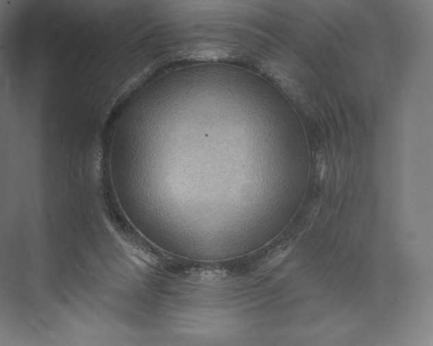 X0000074000304200609061030