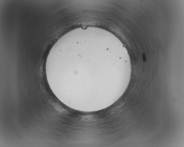 X0000074000309200609061030