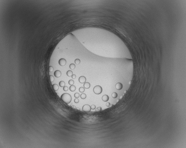 X0000074000311200609061030