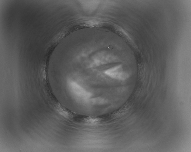 X0000074000313200609061030