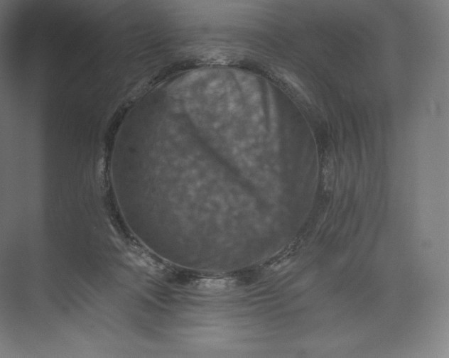 X0000074000314200609061030