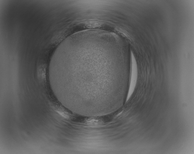 X0000074000315200609061030