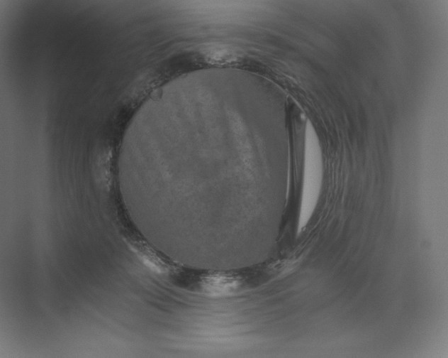 X0000074000319200609061030