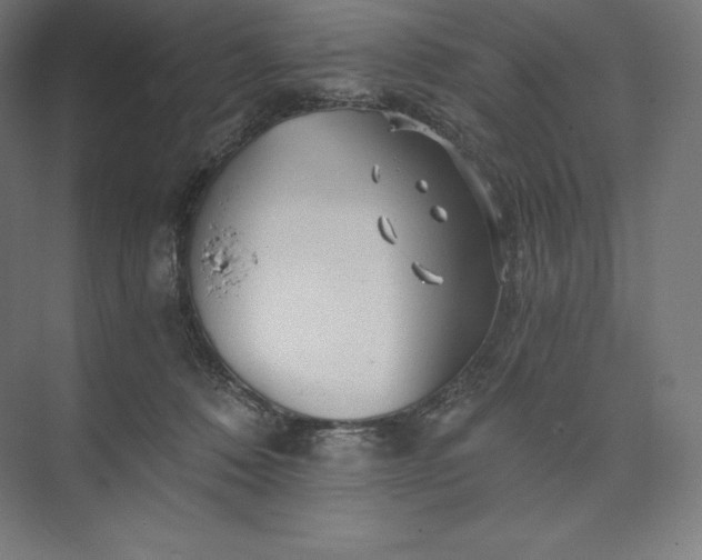 X0000074000320200609061030