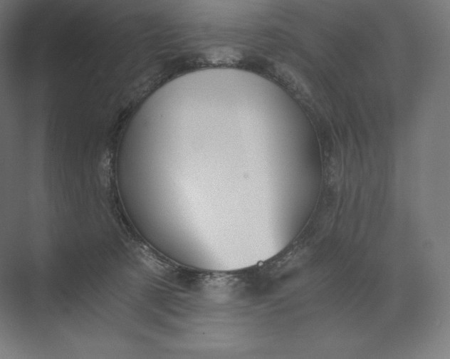 X0000074000321200609061030