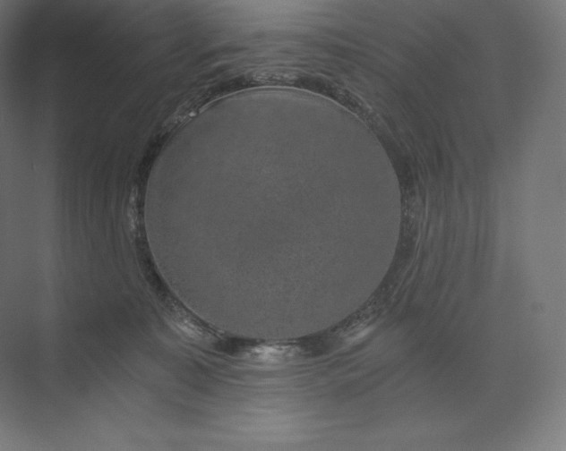 X0000074000323200609061030