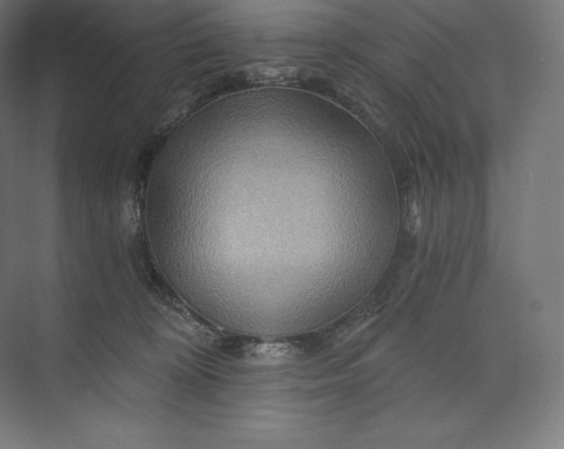 X0000074000324200609061030