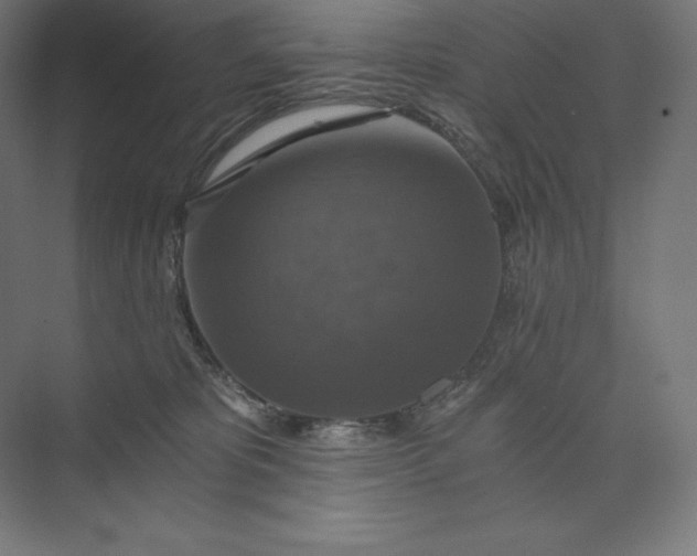 X0000074000325200609061030