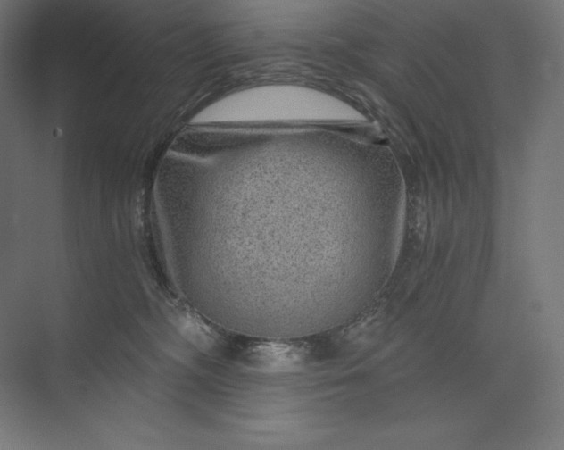 X0000074000326200609061030