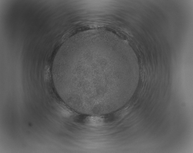 X0000074000327200609061030