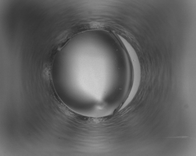 X0000074000329200609061030