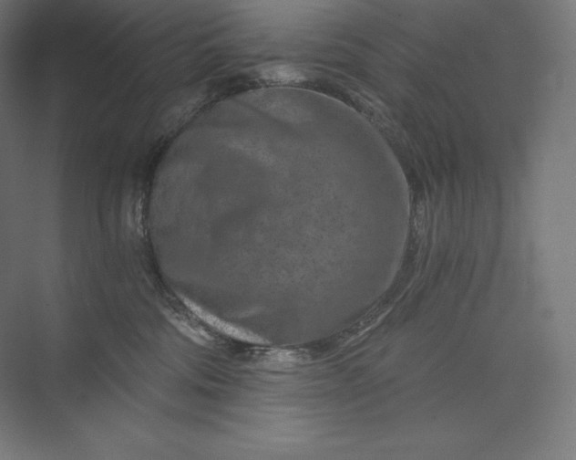 X0000074000330200609061030