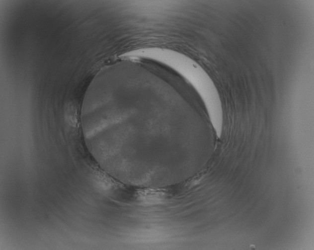 X0000074000331200609061030