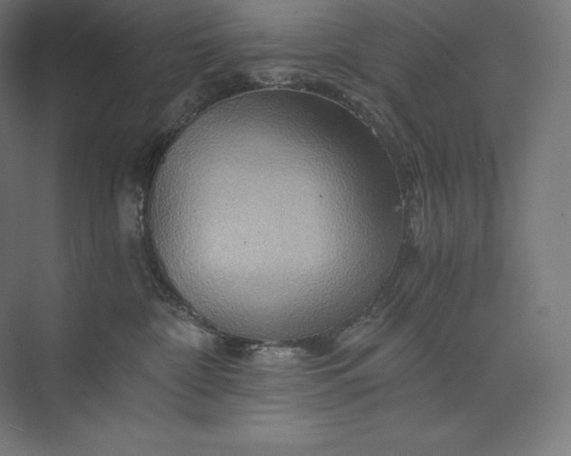 X0000074000332200609061030