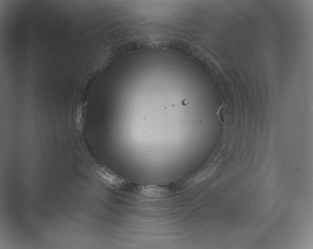 X0000074000336200609061030