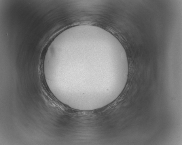 X0000074000338200609061029