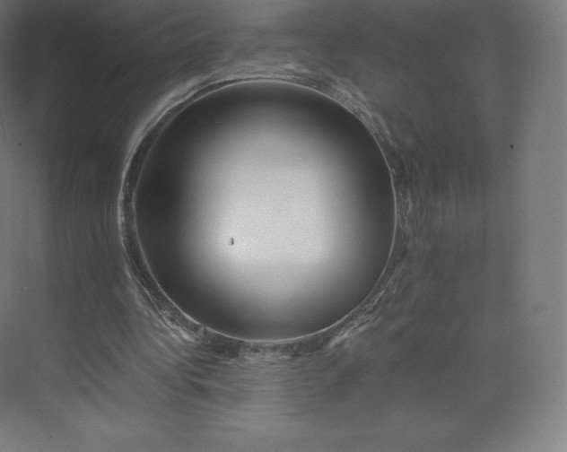 X0000074000340200609061029