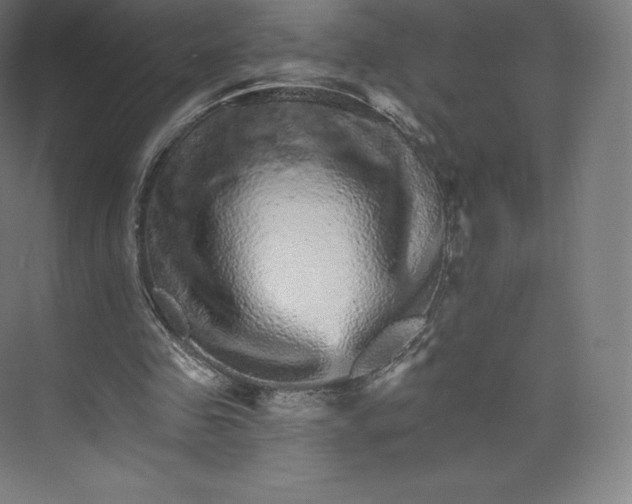 X0000074000341200609061029