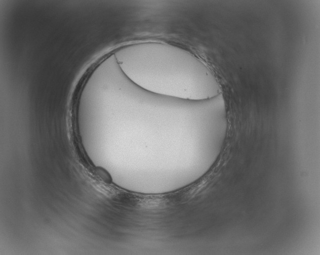 X0000074000342200609061029