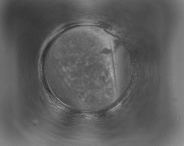 X0000074000343200609061029