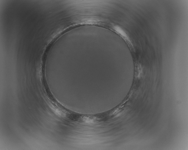 X0000074000346200609061029