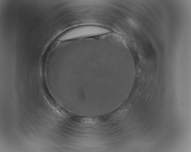 X0000074000347200609061029