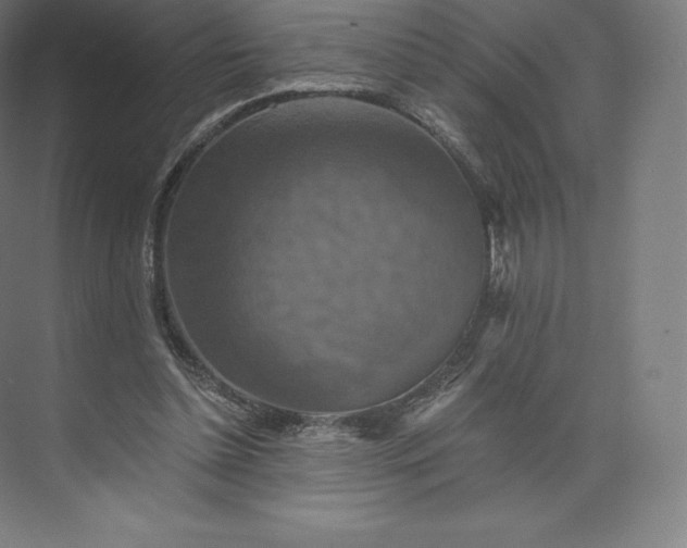 X0000074000348200609061029