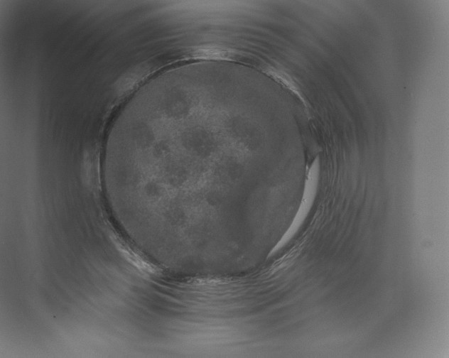 X0000074000349200609061029