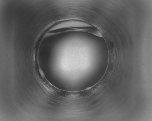 X0000074000350200609061029