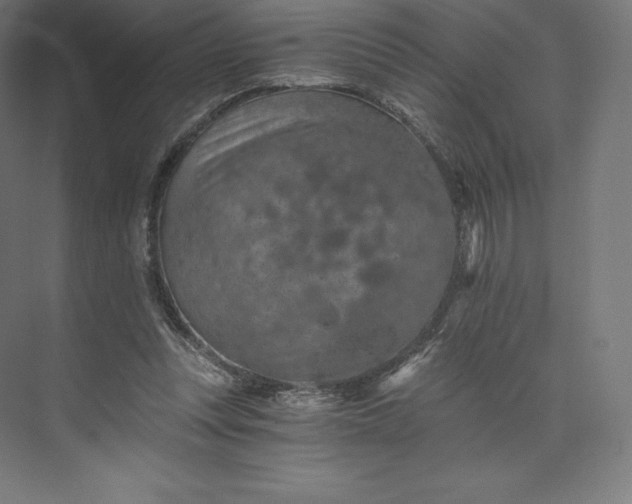 X0000074000351200609061029