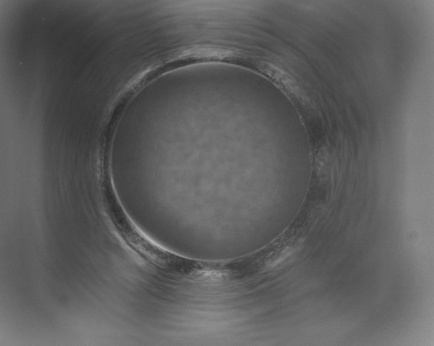 X0000074000352200609061029