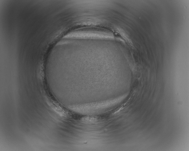 X0000074000354200609061029