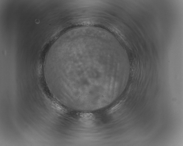 X0000074000355200609061029