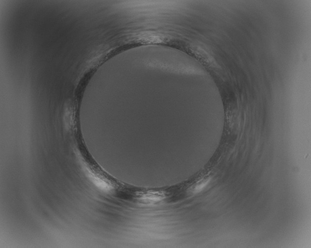 X0000074000359200609061029