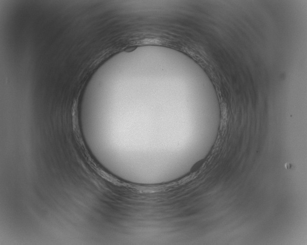 X0000074000360200609061030