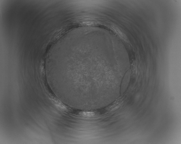 X0000074000361200609061030