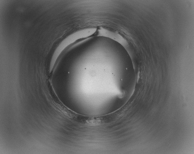 X0000074000362200609061030