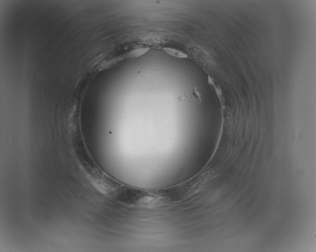 X0000074000364200609061030