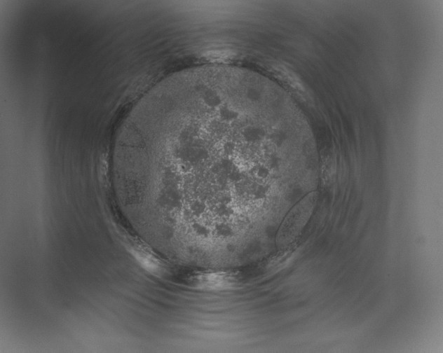 X0000074000365200609061030