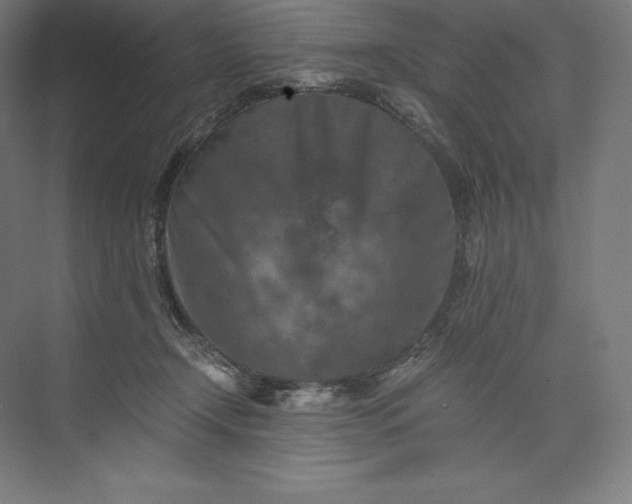 X0000074000366200609061030