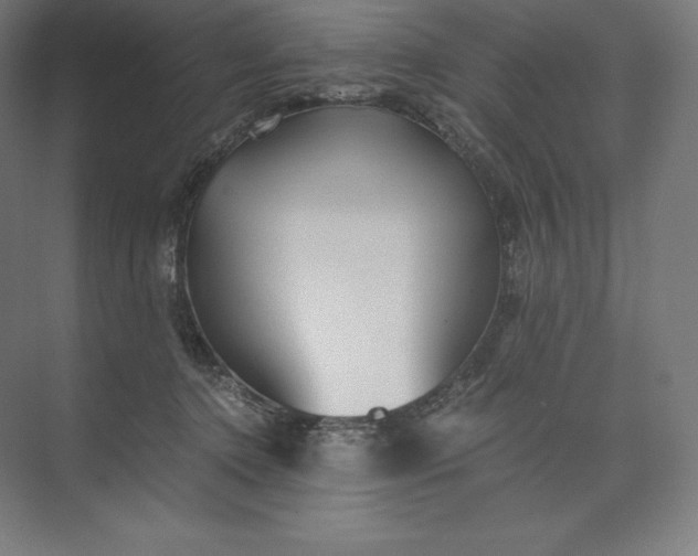 X0000074000368200609061030