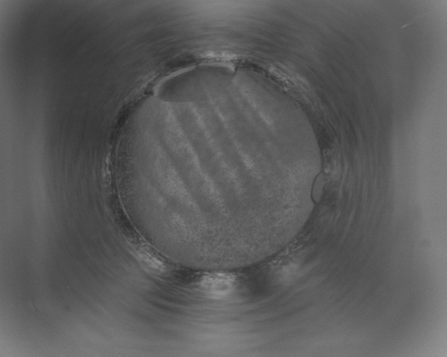 X0000074000369200609061030