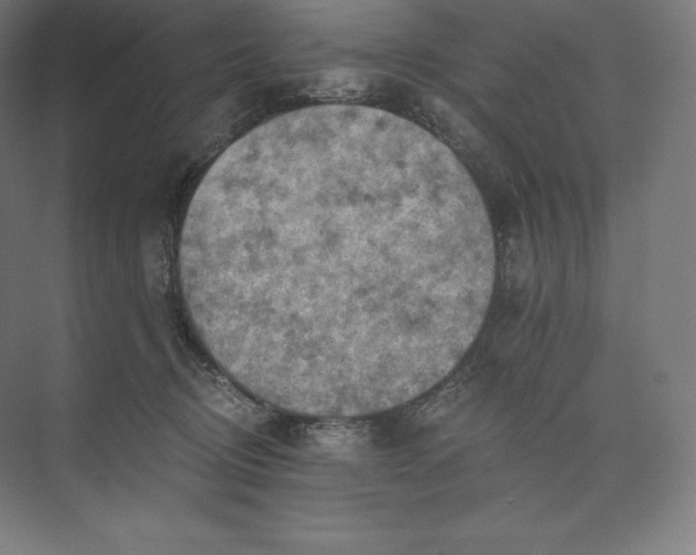 X0000074000370200609061030