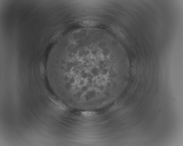 X0000074000371200609061030