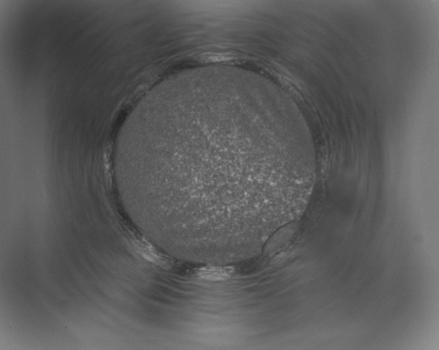 X0000074000373200609061030