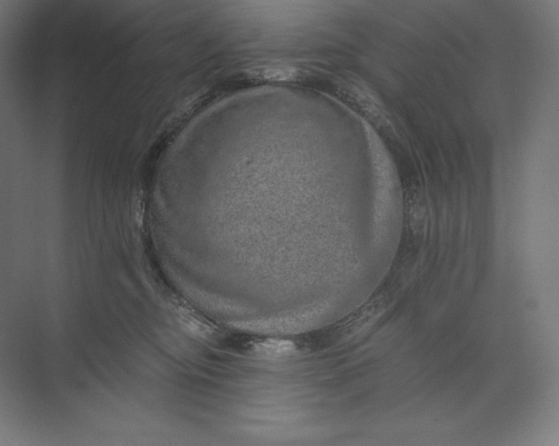 X0000074000374200609061030