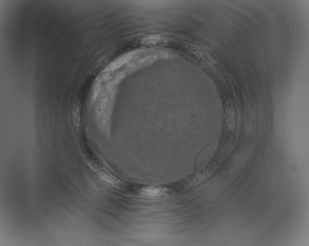 X0000074000375200609061030