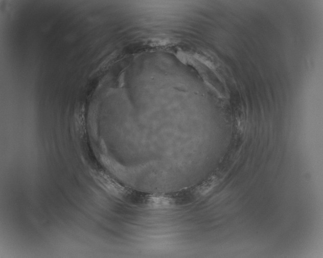 X0000074000376200609061030