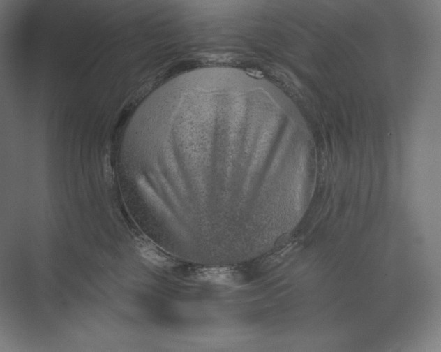 X0000074000377200609061030