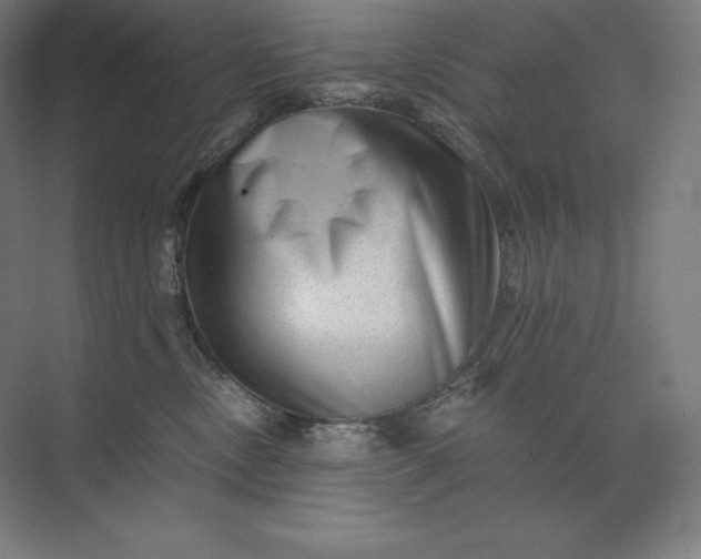 X0000074000378200609061030